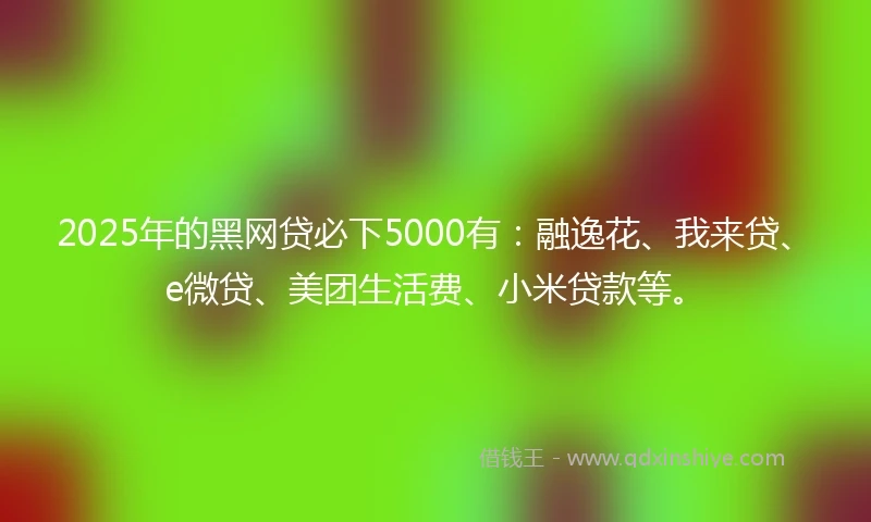 2025年的黑网贷必下5000有：融逸花、我来贷、e微贷、美团生活费、小米贷款等。