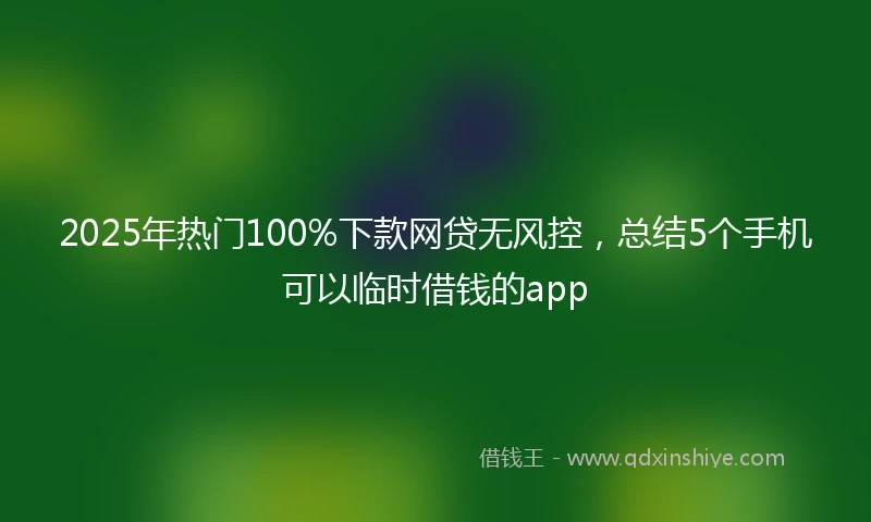 2025年热门100%下款网贷无风控，总结5个手机可以临时借钱的app