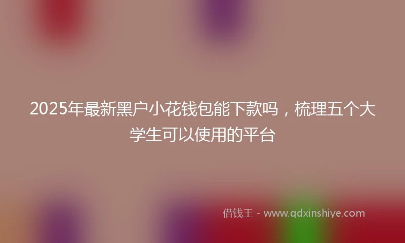 2025年最新黑户小花钱包能下款吗，梳理五个大学生可以使用的平台