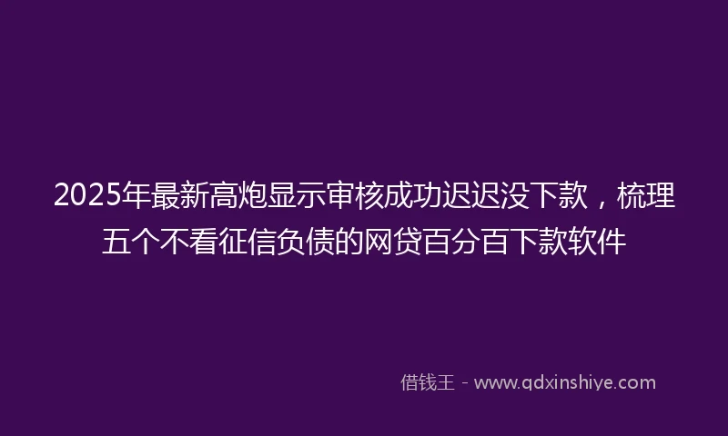 2025年最新高炮显示审核成功迟迟没下款,梳理五个不看征信负债的网贷百分百下款软件