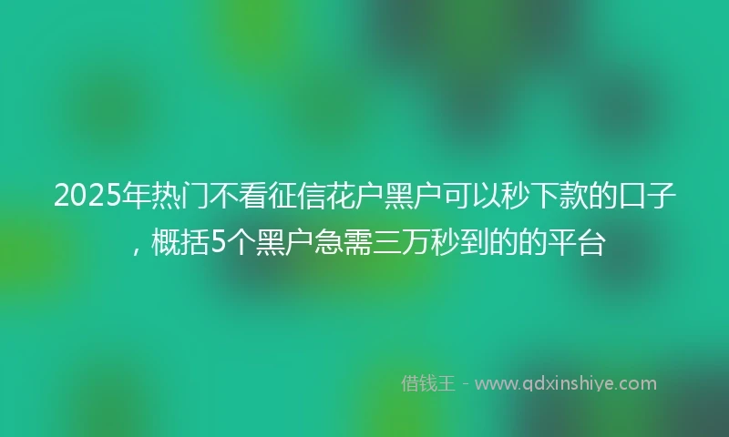 2025年热门不看征信花户黑户可以秒下款的口子，概括5个黑户急需三万秒到的的平台