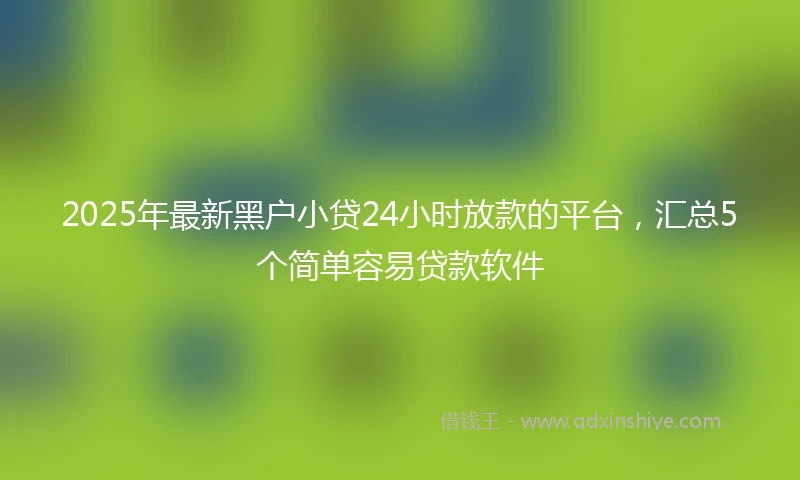 2025年最新黑户小贷24小时放款的平台，汇总5个简单容易贷款软件