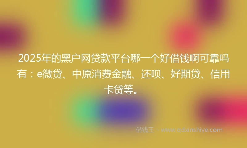 2025年的黑户网贷款平台哪一个好借钱啊可靠吗有：e微贷、中原消费金融、还呗、好期贷、信用卡贷等。