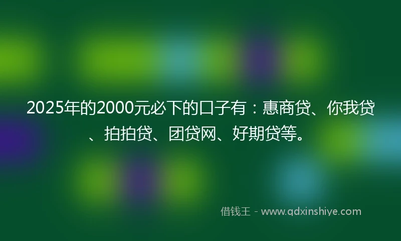 2025年的2000元必下的口子有：惠商贷、你我贷、拍拍贷、团贷网、好期贷等。