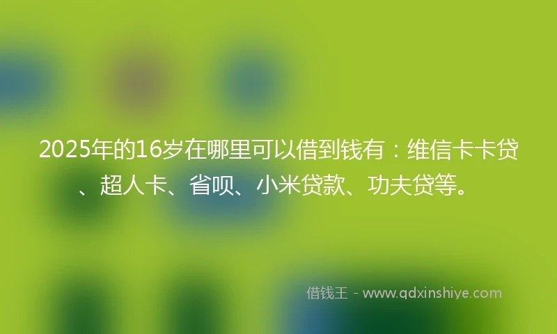 2025年的16岁在哪里可以借到钱有：维信卡卡贷、超人卡、省呗、小米贷款、功夫贷等。