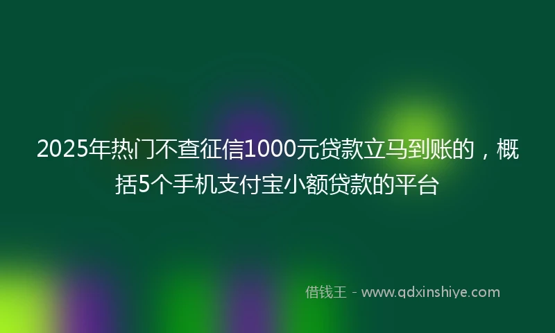 2025年热门不查征信1000元贷款立马到账的，概括5个手机支付宝小额贷款的平台