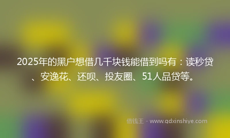 2025年的黑户想借几千块钱能借到吗有：读秒贷、安逸花、还呗、投友圈、51人品贷等。