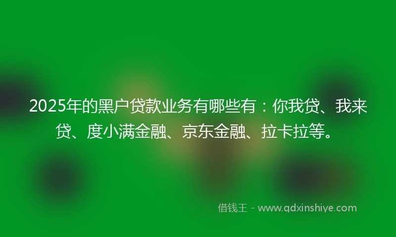 2025年的黑户贷款业务有哪些有：你我贷、我来贷、度小满金融、京东金融、拉卡拉等。