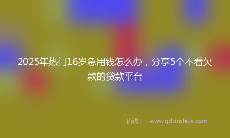 2025年热门16岁急用钱怎么办，分享5个不看欠款的贷款平台
