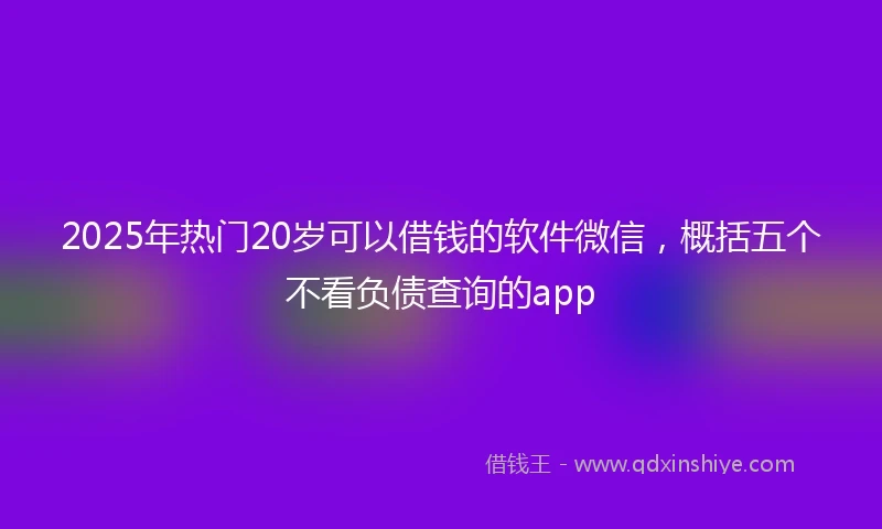 2025年热门20岁可以借钱的软件微信,概括五个不看负债查询的app