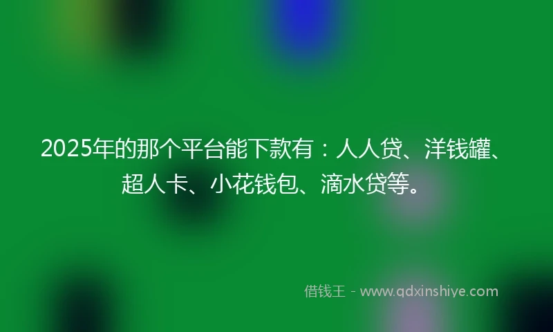 2025年的那个平台能下款有：人人贷、洋钱罐、超人卡、小花钱包、滴水贷等。