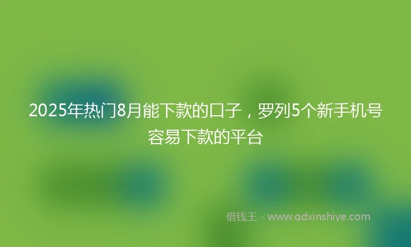 2025年热门8月能下款的口子,罗列5个新手机号容易下款的平台