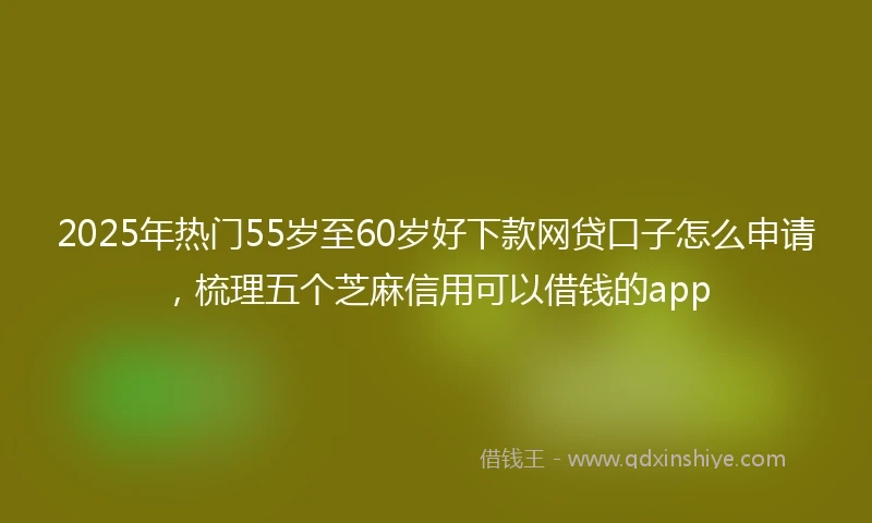 2025年热门55岁至60岁好下款网贷口子怎么申请，梳理五个芝麻信用可以借钱的app