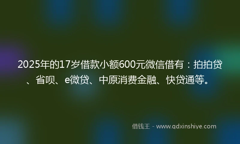 2025年的17岁借款小额600元微信借有：拍拍贷、省呗、e微贷、中原消费金融、快贷通等。