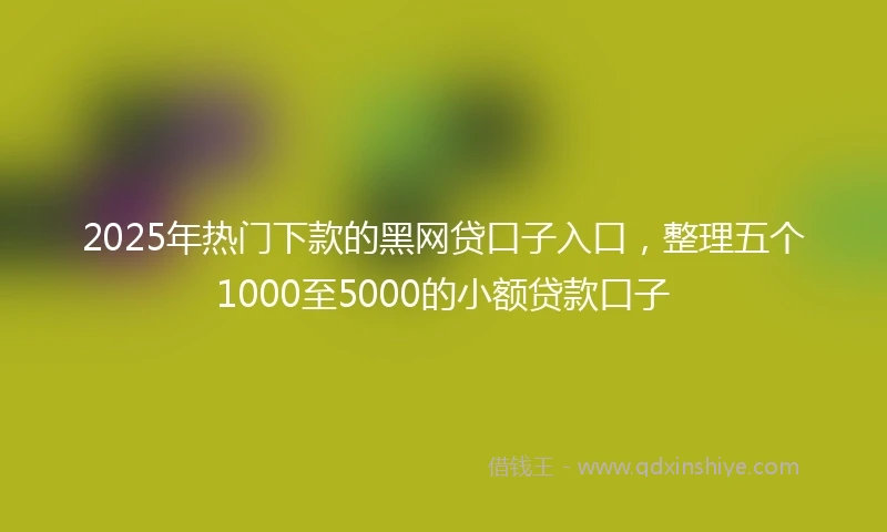 2025年热门下款的黑网贷口子入口，整理五个1000至5000的小额贷款口子