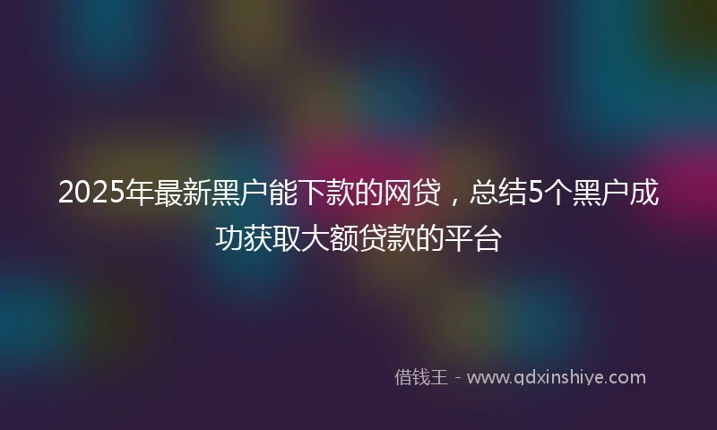 2025年最新黑户能下款的网贷，总结5个黑户成功获取大额贷款的平台