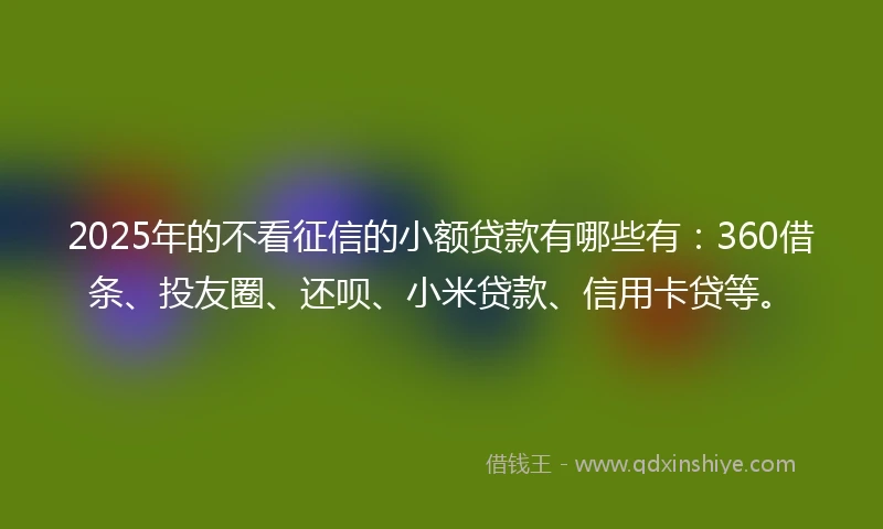 2025年的不看征信的小额贷款有哪些有：360借条、投友圈、还呗、小米贷款、信用卡贷等。