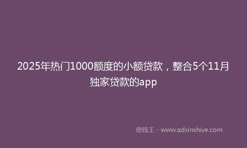 2025年热门1000额度的小额贷款，整合5个11月独家贷款的app