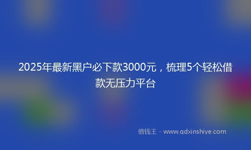 2025年最新黑户必下款3000元,梳理5个轻松借款无压力平台