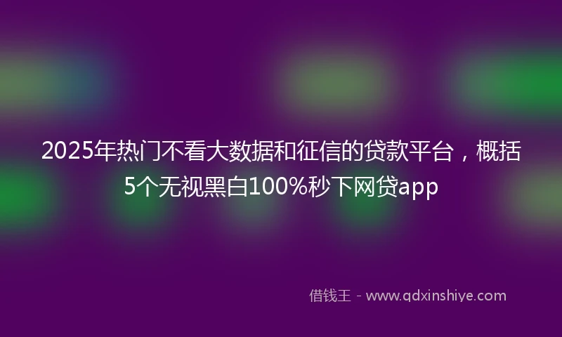 2025年热门不看大数据和征信的贷款平台,概括5个无视黑白100%秒下网贷app