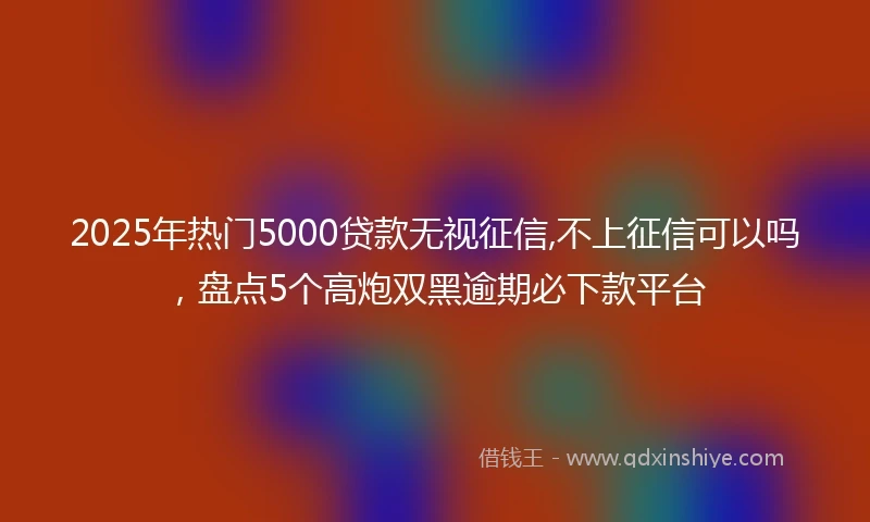2025年热门5000贷款无视征信,不上征信可以吗，盘点5个高炮双黑逾期必下款平台