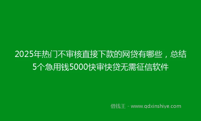 2025年热门不审核直接下款的网贷有哪些，总结5个急用钱5000快审快贷无需征信软件
