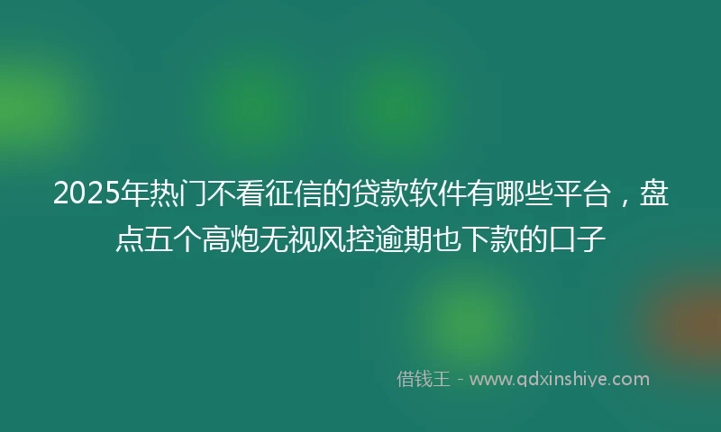 2025年热门不看征信的贷款软件有哪些平台，盘点五个高炮无视风控逾期也下款的口子