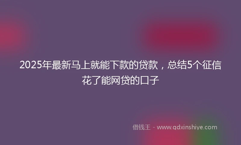2025年最新马上就能下款的贷款，总结5个征信花了能网贷的口子