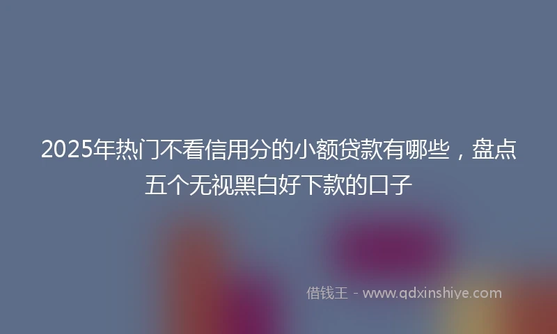 2025年热门不看信用分的小额贷款有哪些，盘点五个无视黑白好下款的口子