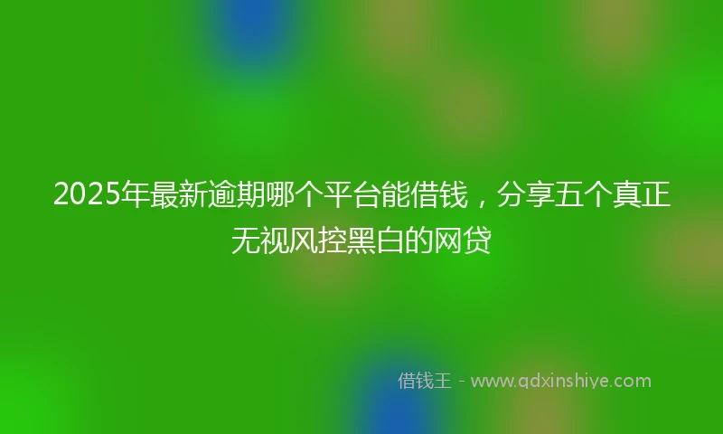 2025年最新逾期哪个平台能借钱,分享五个真正无视风控黑白的网贷