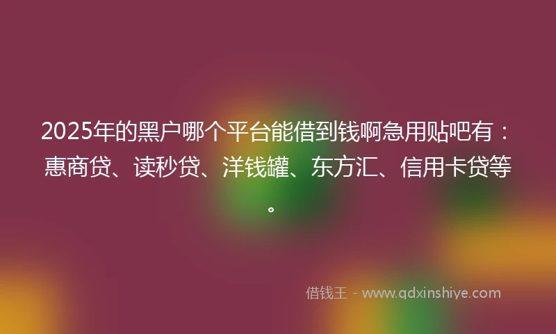 2025年的黑户哪个平台能借到钱啊急用贴吧有：惠商贷、读秒贷、洋钱罐、东方汇、信用卡贷等。