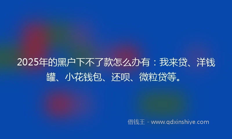 2025年的黑户下不了款怎么办有：我来贷、洋钱罐、小花钱包、还呗、微粒贷等。
