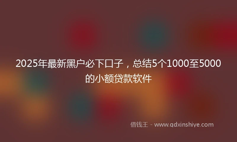 2025年最新黑户必下口子，总结5个1000至5000的小额贷款软件