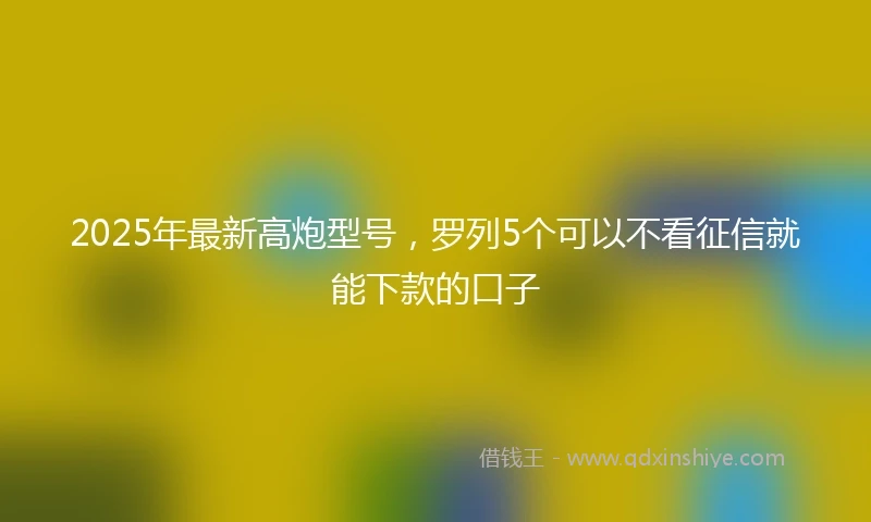 2025年最新高炮型号，罗列5个可以不看征信就能下款的口子