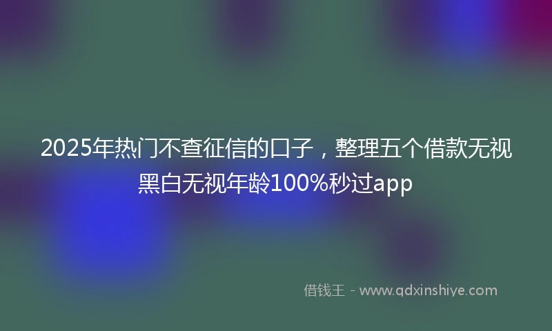 2025年热门不查征信的口子,整理五个借款无视黑白无视年龄100%秒过app