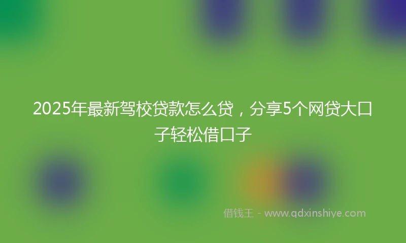 2025年最新驾校贷款怎么贷，分享5个网贷大口子轻松借口子