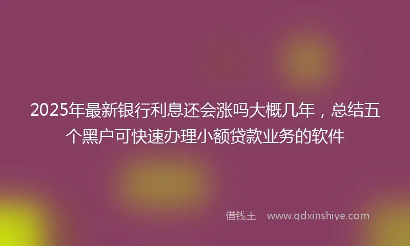 2025年最新银行利息还会涨吗大概几年，总结五个黑户可快速办理小额贷款业务的软件