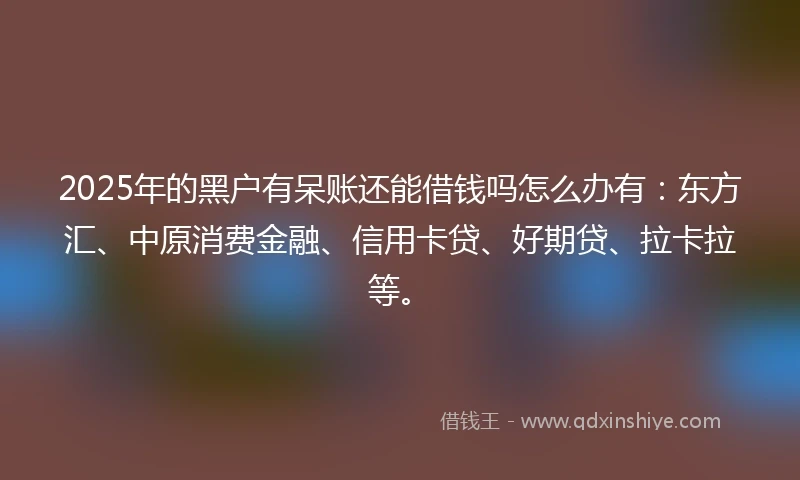 2025年的黑户有呆账还能借钱吗怎么办有：东方汇、中原消费金融、信用卡贷、好期贷、拉卡拉等。