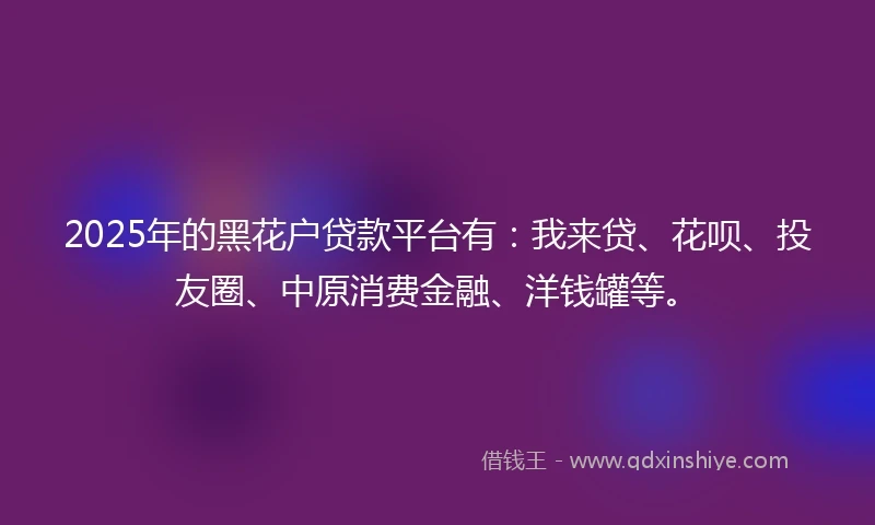 2025年的黑花户贷款平台有：我来贷、花呗、投友圈、中原消费金融、洋钱罐等。