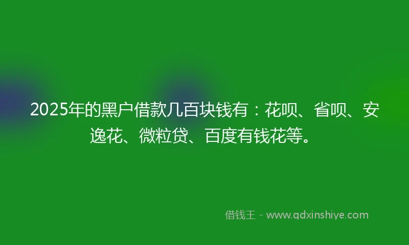 2025年的黑户借款几百块钱有:花呗、省呗、安逸花、微粒贷、百度有钱花等。