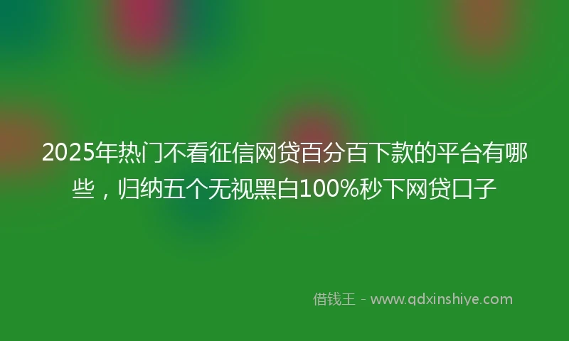 2025年热门不看征信网贷百分百下款的平台有哪些，归纳五个无视黑白100%秒下网贷口子