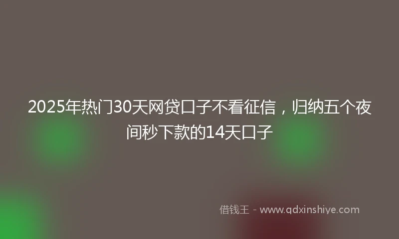 2025年热门30天网贷口子不看征信，归纳五个夜间秒下款的14天口子