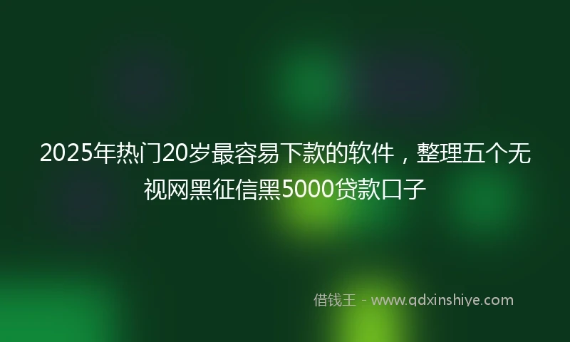 2025年热门20岁最容易下款的软件，整理五个无视网黑征信黑5000贷款口子