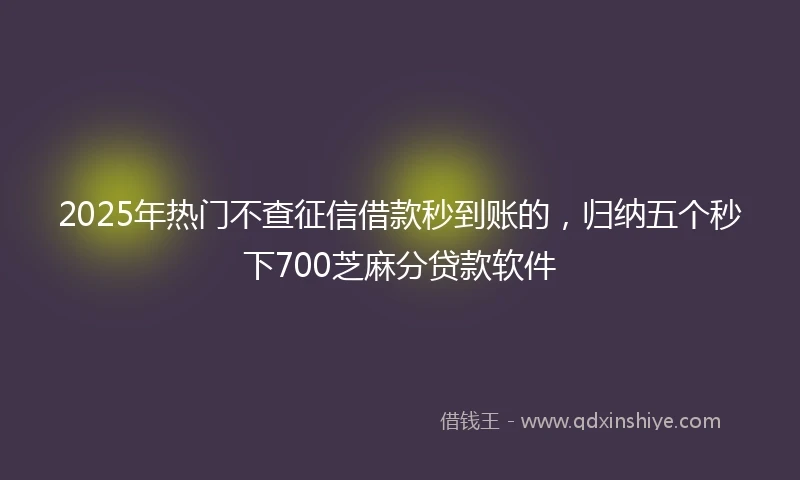 2025年热门不查征信借款秒到账的,归纳五个秒下700芝麻分贷款软件