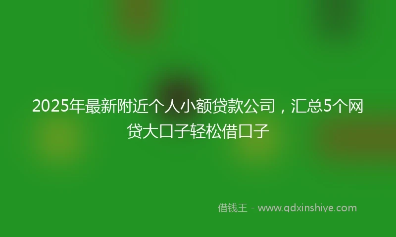 2025年最新附近个人小额贷款公司,汇总5个网贷大口子轻松借口子