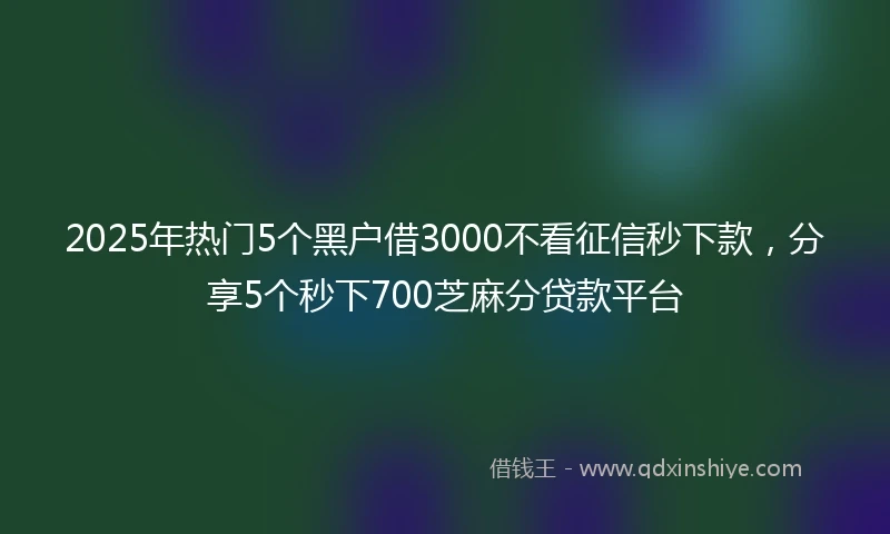 2025年热门5个黑户借3000不看征信秒下款,分享5个秒下700芝麻分贷款平台