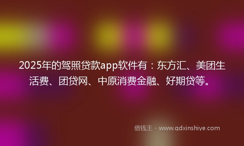 2025年的驾照贷款app软件有：东方汇、美团生活费、团贷网、中原消费金融、好期贷等。