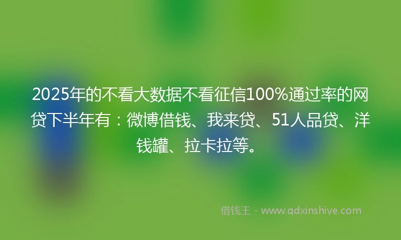 2025年的不看大数据不看征信100%通过率的网贷下半年有：微博借钱、我来贷、51人品贷、洋钱罐、拉卡拉等。