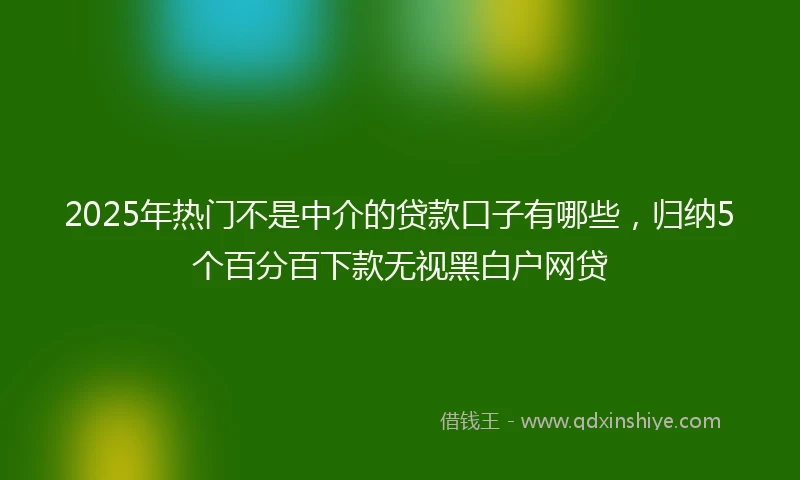 2025年热门不是中介的贷款口子有哪些，归纳5个百分百下款无视黑白户网贷