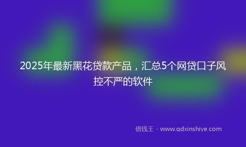 2025年最新黑花贷款产品,汇总5个网贷口子风控不严的软件